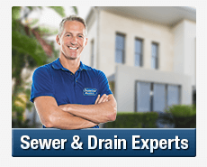 Sewer & Drain Experts Warriewood